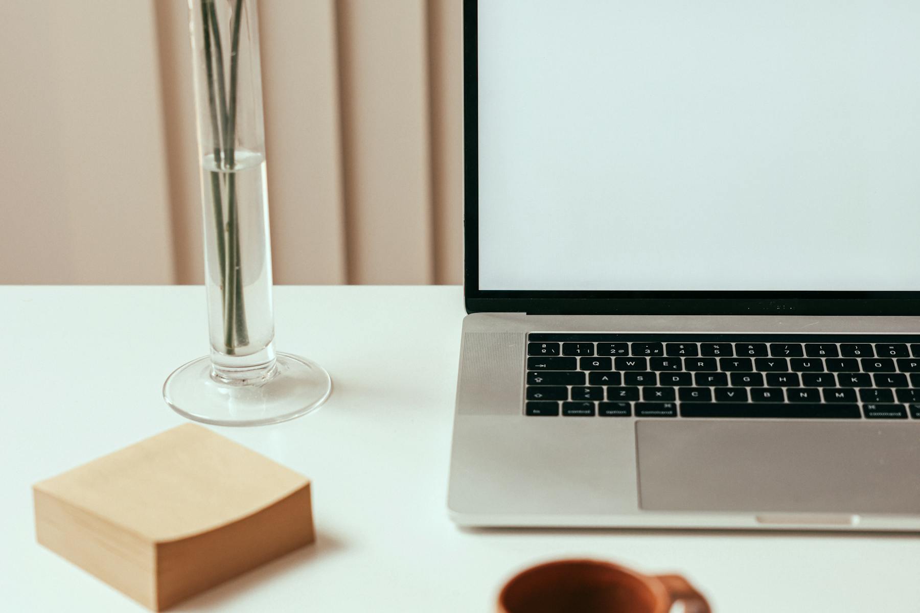 Calm workspace with laptop, mug and plant