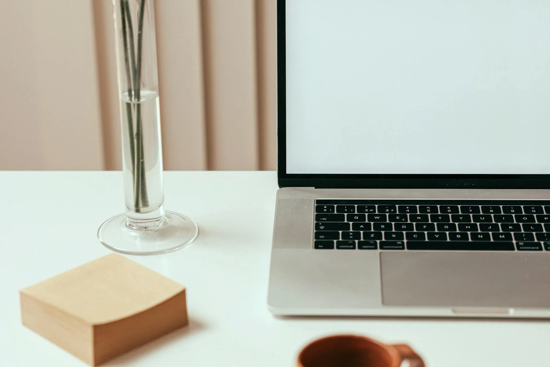 Calm workspace with laptop, mug and plant